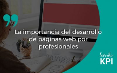 La importancia del desarrollo de páginas web por profesionales